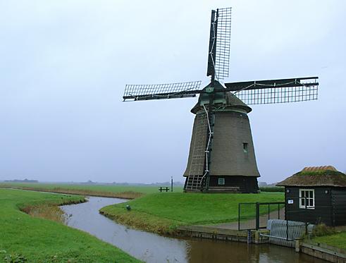 Crowded Mill